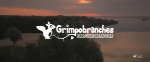 Grimpobranches-studio-og-troyes
