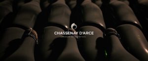 Chassenay D'Arce_Studio OG_2020
