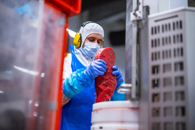 Savien - Jean Rosé - StudioOG