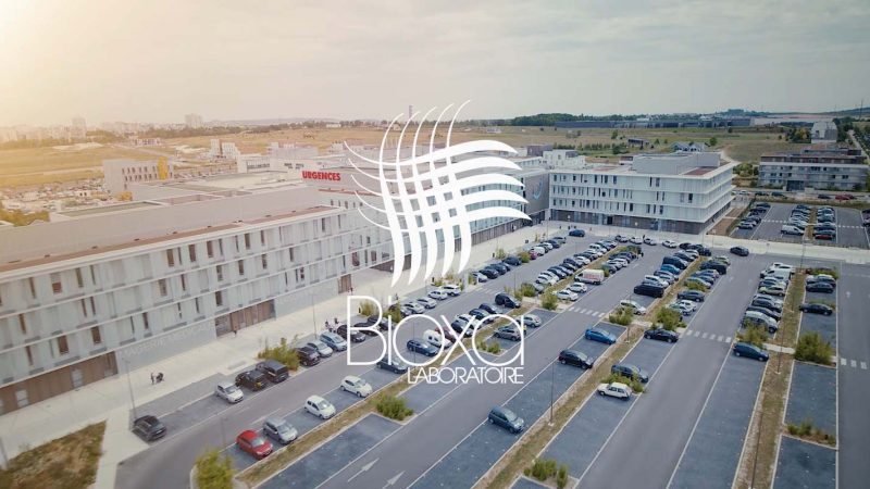 Bioxa-Studio OG-2019