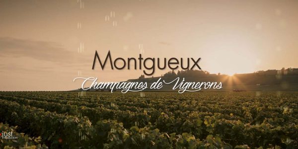 Vignoble-de-Montgueux-studio-og-troyes